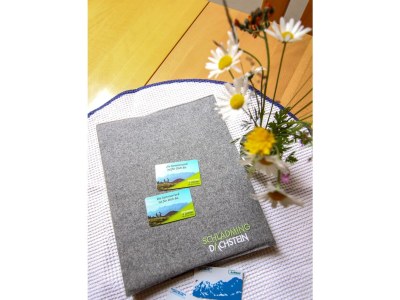 Apartment Appartement Hauser Kaibling, Dusche, WC getrennt - Features photo 14