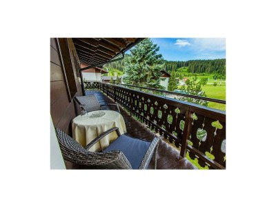 Apartment Soldanella 2 by Alpenidyll Apartments in Ramsau am Dachstein - Apartment