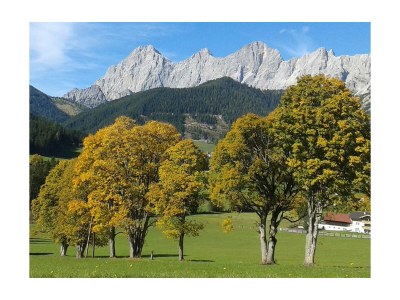 Apartment Appartement/Fewo, Dusche und Bad, WC, 3 Schlafräum - Outdoor photo 14