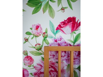 Holiday room Grüne Erde Familienzimmer mit 2 Schlafzimmer - Outdoor photo 16