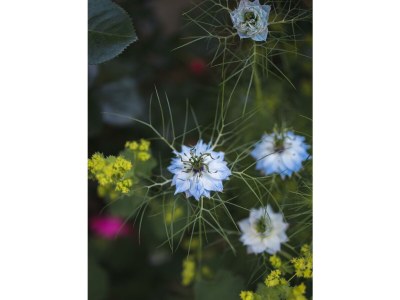 Holiday room Grüne Erde Familienzimmer mit 2 Schlafzimmer - Outdoor photo 34