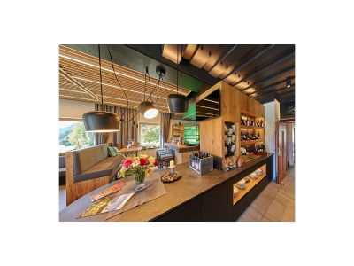 Apartment Studio, Dusche, WC, Balkon in Ramsau am Dachstein - Apartment