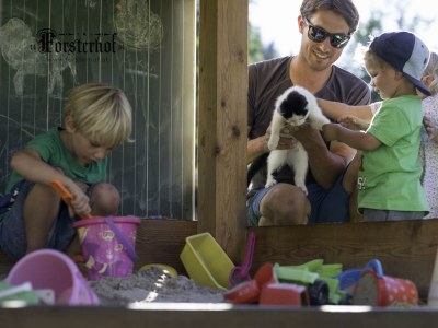 Apartment Appartement Waldgeflüster - Outdoor photo 15