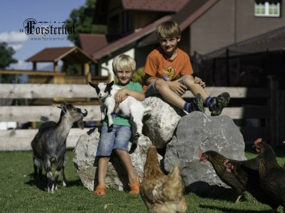 Apartment Appartement Waldgeflüster - Outdoor photo 19