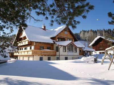 Apartment Appartement Waldgeflüster - Outdoor photo 38