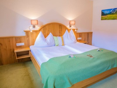 Apartment Appartement Bergluft oder Dorfliebe in Ramsau am Dachstein - Apartment