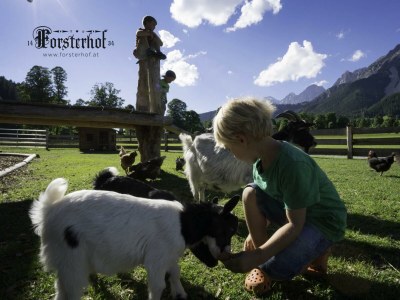 Apartment Appartement Bergluft oder Dorfliebe - Outdoor photo 17