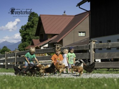 Apartment Appartement Bergluft oder Dorfliebe - Outdoor photo 18