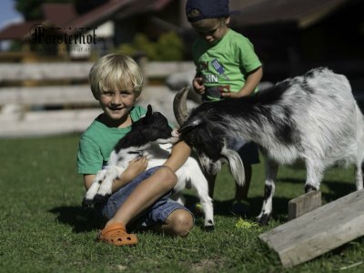 Apartment Appartement Bergluft oder Dorfliebe - Outdoor photo 22