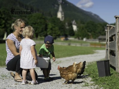 Apartment Appartement Bergluft oder Dorfliebe - Outdoor photo 23