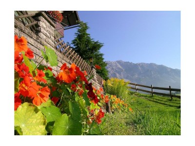 Holiday room Doppelzimmer C mit Dusche od. Bad, WC - Outdoor photo 32