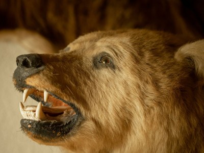 Holiday room Doppelzimmer A mit Dusche, WC - Outdoor photo 40