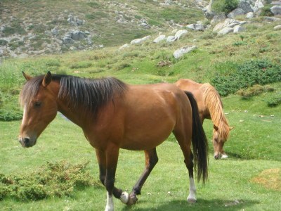 Holiday house Cantu di Mare - Environment photo 15