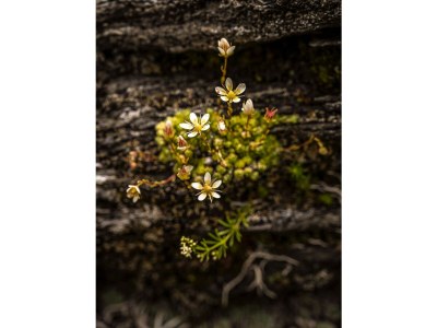 Apartment Garten Apartment mit großer Terrasse - Outdoor photo 47
