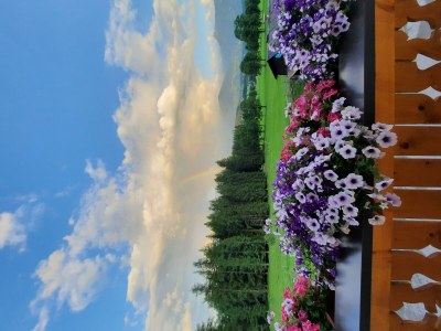 Apartment App. Tauernblick Dusche, WC, 1 Schlafraum - Outdoor photo 13