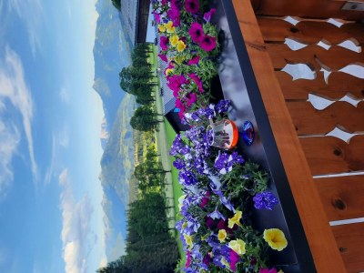 Apartment App. Tauernblick Dusche, WC, 1 Schlafraum - Outdoor photo 14