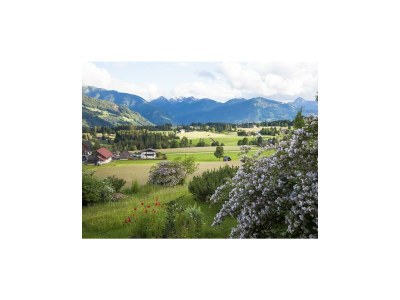 Apartment Apartment/Wohn-Schlafraum/Dusche, WC - Outdoor photo 8