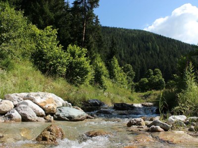 Apartment Apartment/2 Schlafräume/Bad, WC, 1e Stock - Outdoor photo 9