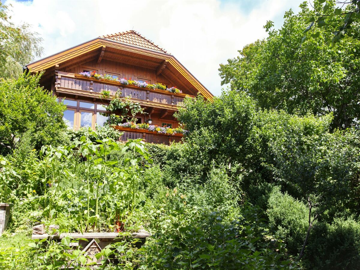 Apartment Bio-Appartement Tauern mit finn. Sauna/Terrasse