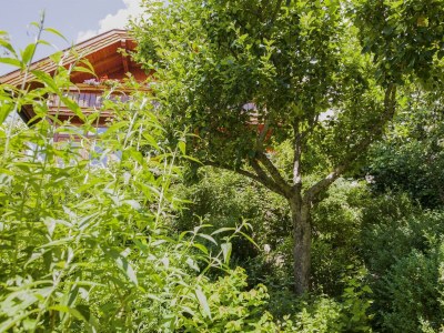 Apartment Bio-Appartement Tauern mit finn. Sauna/Terrasse - Outdoor photo 7