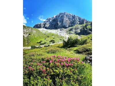 Apartment Apartment/2 Schlafräume/Dusche, WC - Outdoor photo 26