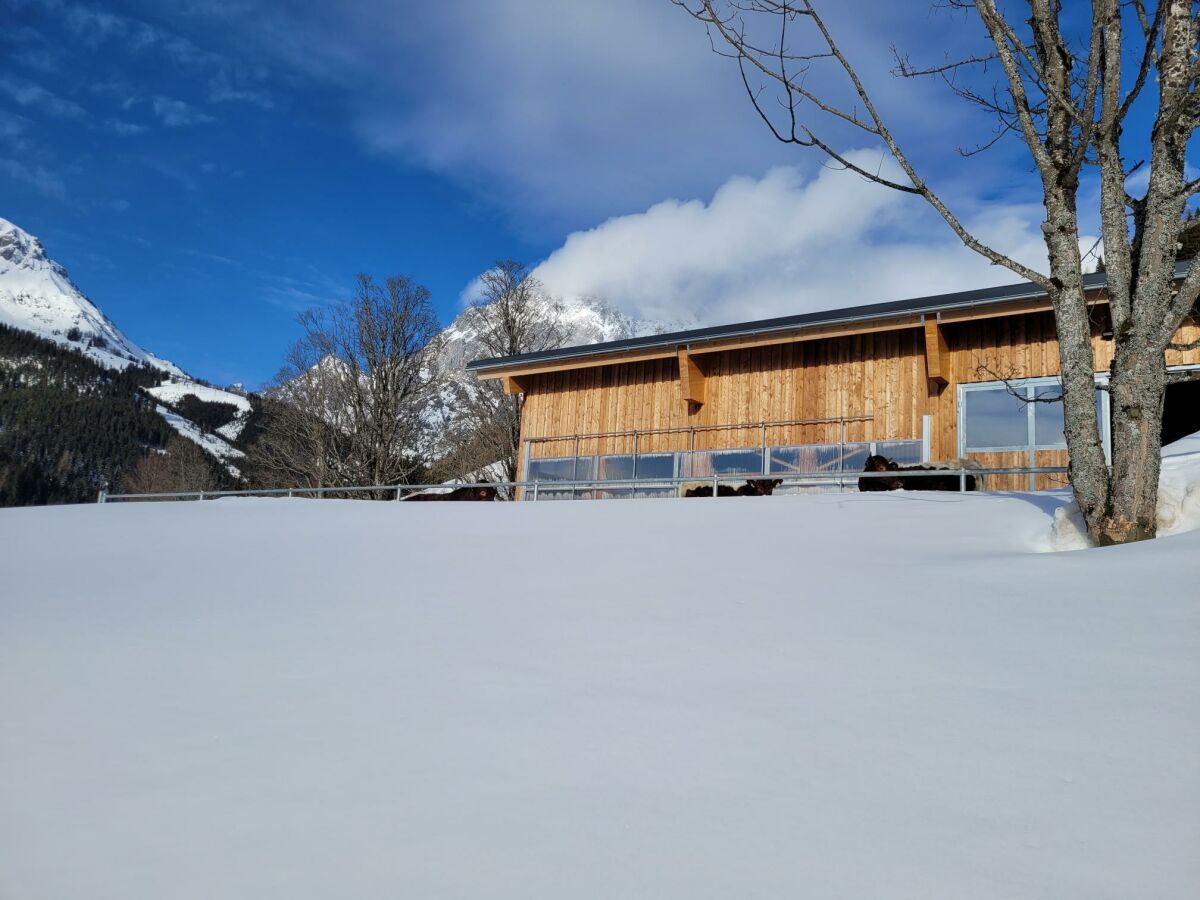 Apartment Appartement/Fewo, Dusche, WC, 2 Schlafräume - Outdoor photo 3