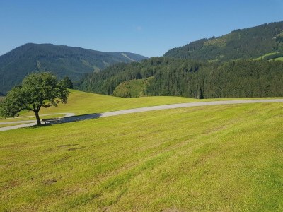 Apartment Appartement/Fewo, Dusche, WC, 2 Schlafräume - Outdoor photo 12