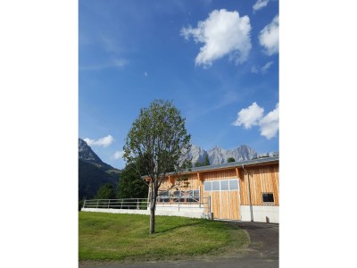 Apartment Appartement/Fewo, Dusche, WC, 2 Schlafräume - Outdoor photo 13