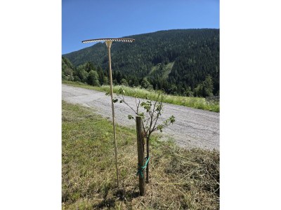 Apartment Appartement/Fewo, Dusche, WC, 2 Schlafräume - Outdoor photo 25