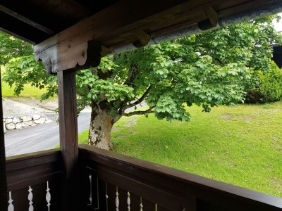 Apartment Appartement/Fewo, Dusche, WC, 2 Schlafräume - Features photo 39