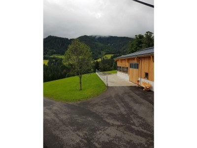 Apartment Appartement/Fewo, Dusche, WC, 2 Schlafräume - Features photo 51