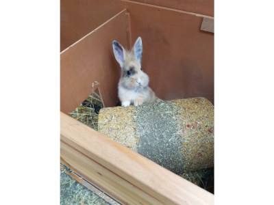 Apartment Appartement/Fewo, Dusche, WC, 2 Schlafräume - Features photo 53