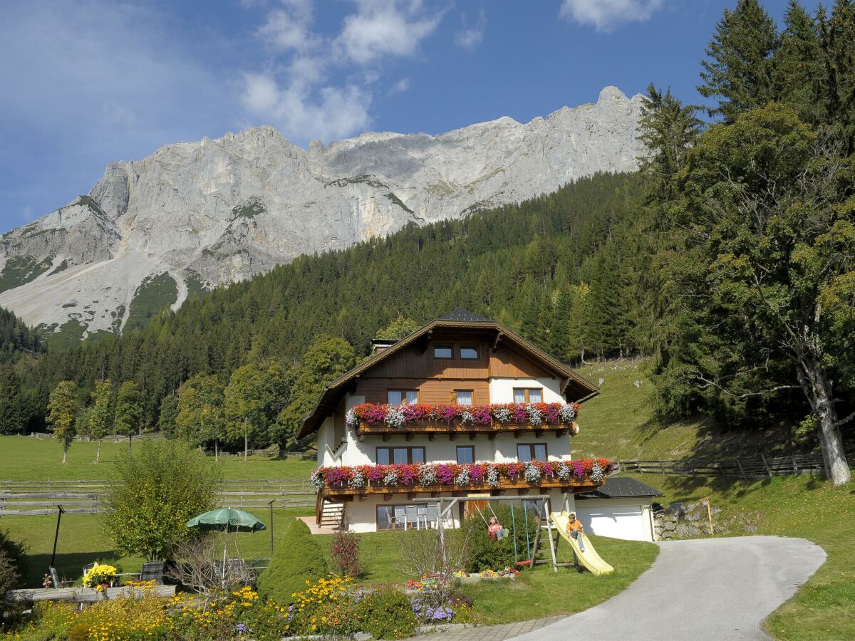 Apartment Apartment/1 Schlafraum/Wohnschlafraum/Dusche, WC