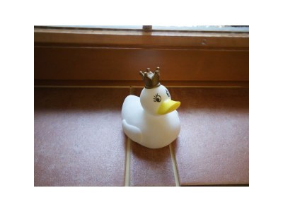 Apartment Ferienwohnung,  bis 3 Schlafräume/Dusche, WC - Outdoor photo 36