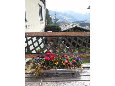 Apartment Ferienwohnung,  bis 3 Schlafräume/Dusche, WC - Features photo 46