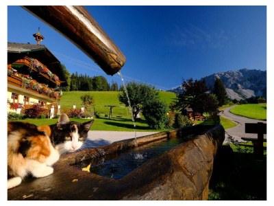 Holiday room Familienzimmer mit Dusche, WC - Outdoor photo 8