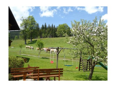 Holiday room Familienzimmer mit Dusche, WC - Outdoor photo 14