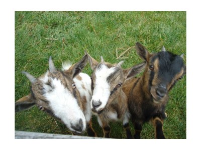 Holiday room Familienzimmer mit Dusche, WC - Outdoor photo 21