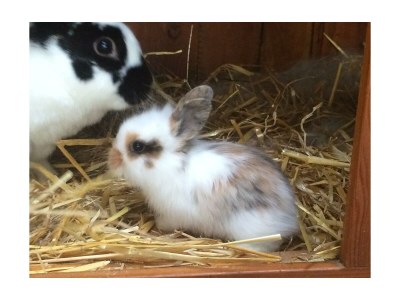 Holiday room Familienzimmer mit Dusche, WC - Outdoor photo 26