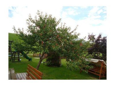 Holiday room Familienzimmer mit Dusche, WC - Outdoor photo 29
