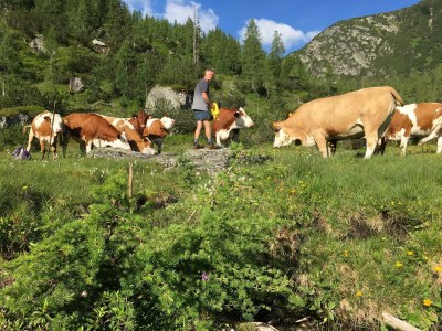 Holiday room Familienzimmer mit Dusche, WC - Outdoor photo 35