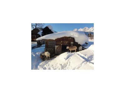 Apartment Apartment/2 Schlafräume/Dusche, WC - Outdoor photo 7