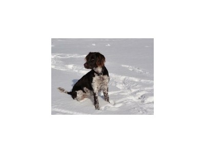 Apartment Apartment/2 Schlafräume/Dusche, WC - Outdoor photo 8