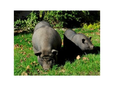 Apartment Apartment/2 Schlafräume/Dusche, WC - Outdoor photo 9