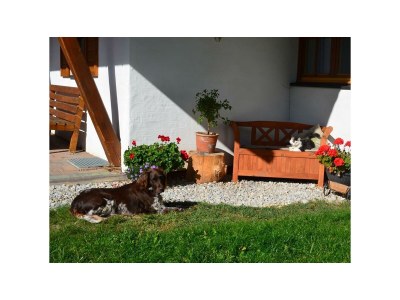 Apartment Apartment/2 Schlafräume/Dusche, WC - Outdoor photo 13