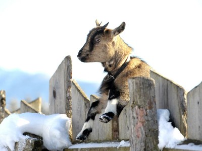 Apartment Apartment/2 Schlafräume/Dusche, WC - Outdoor photo 16