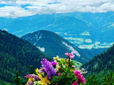 Apartment Ap. Alpengarten/1 Schlafraum/Dusche, WC - Outdoor photo 34