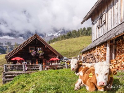 Apartment Ap. Hochsitz/2 Schlafräume/Dusche, WC - Outdoor photo 27
