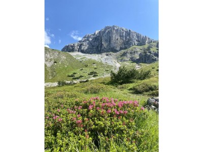 Apartment Ap. Talblick/1 Schlafraum/Dusche, WC - Outdoor photo 15