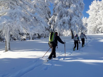 Apartment Ap. Talblick/1 Schlafraum/Dusche, WC - Outdoor photo 61